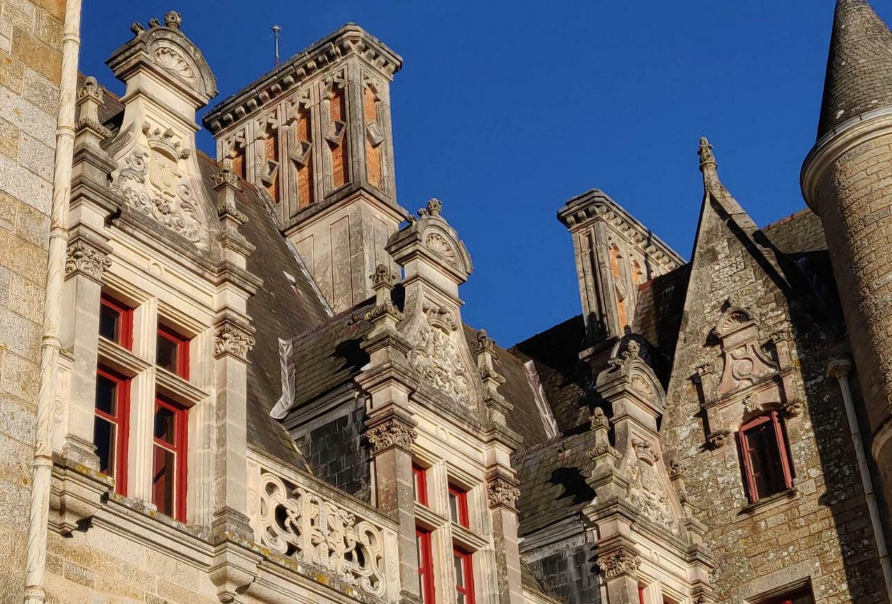 Chateau LE BROSSAY Renac Exterior foto